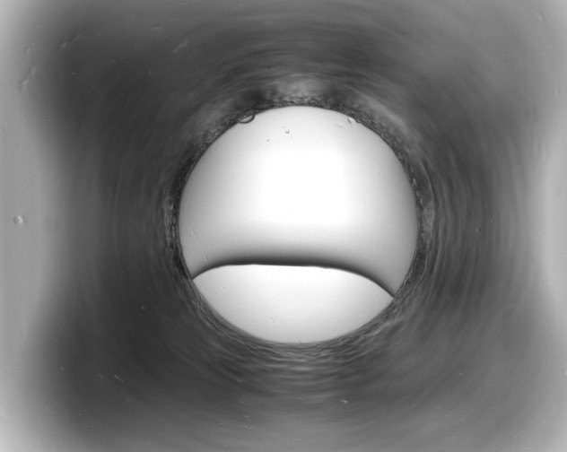X0000098180181200804241038