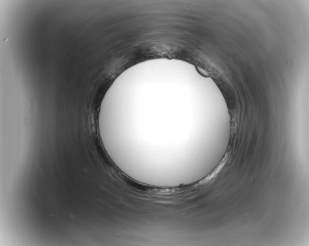 X0000098180182200804241038