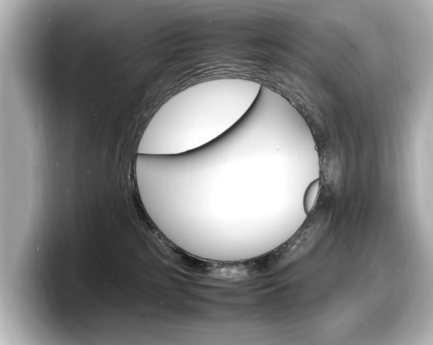 X0000098180185200804241038