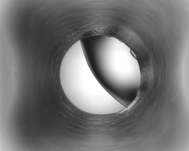 X0000098180186200804241038