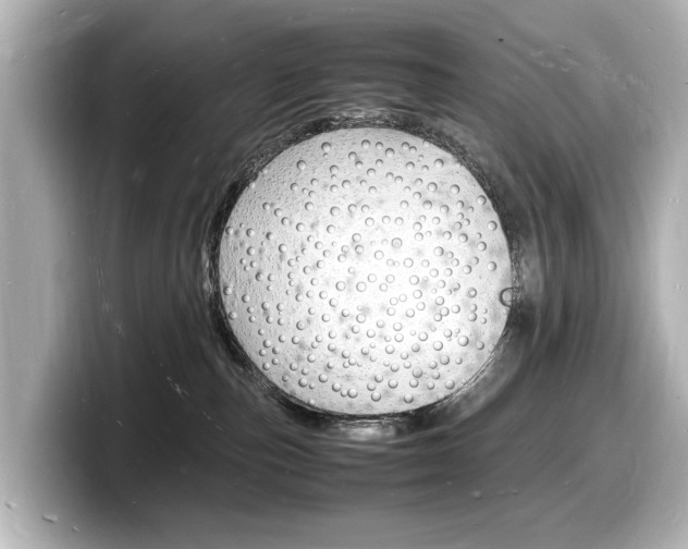 X0000098180187200804241038