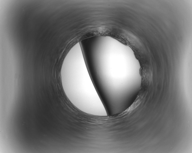 X0000098180188200804241038