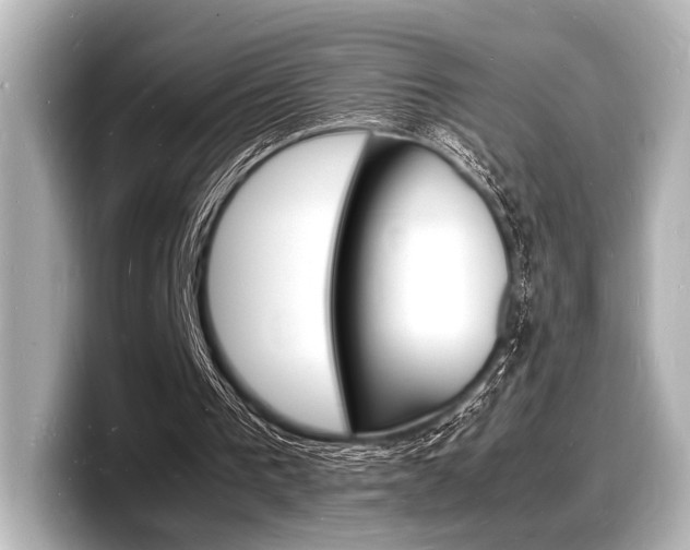X0000098180193200804241037