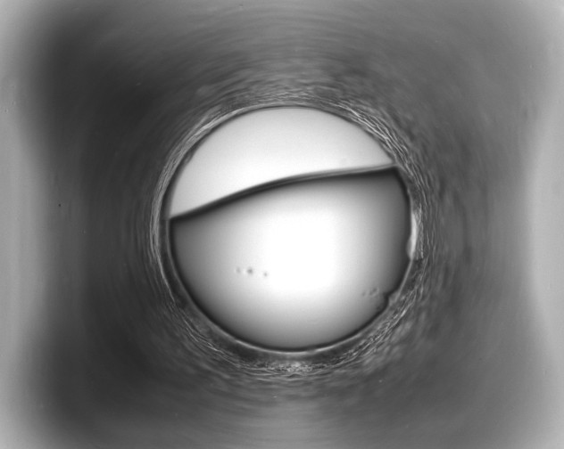 X0000098180195200804241037