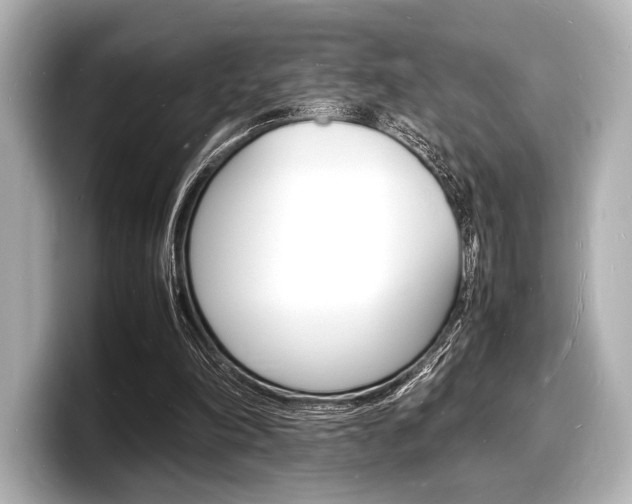 X0000098180198200804241037