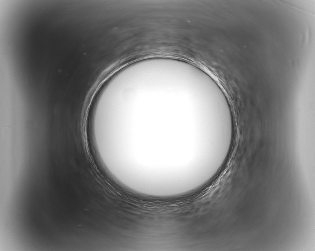 X0000098180199200804241037
