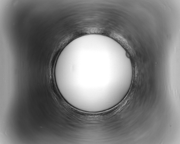 X0000098180202200804241037