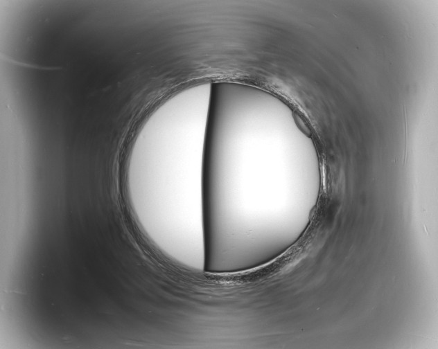X0000098180205200804241037