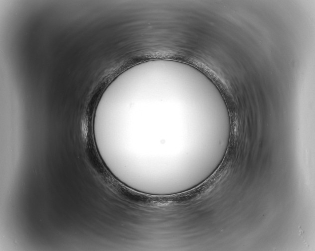 X0000098180206200804241037