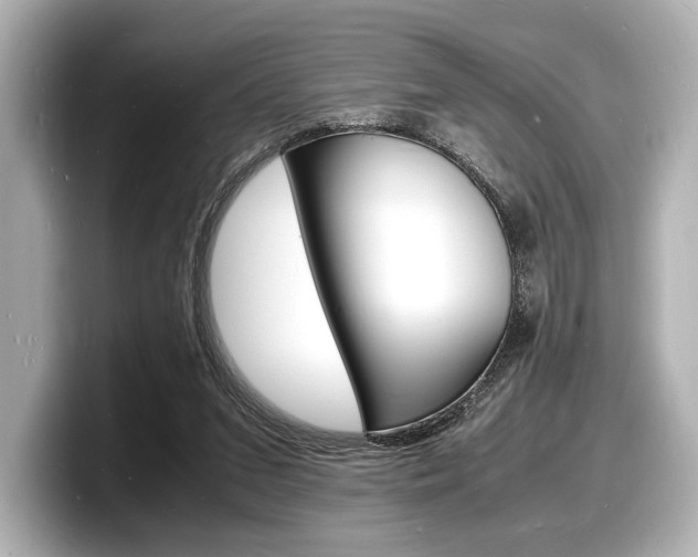 X0000098180207200804241037