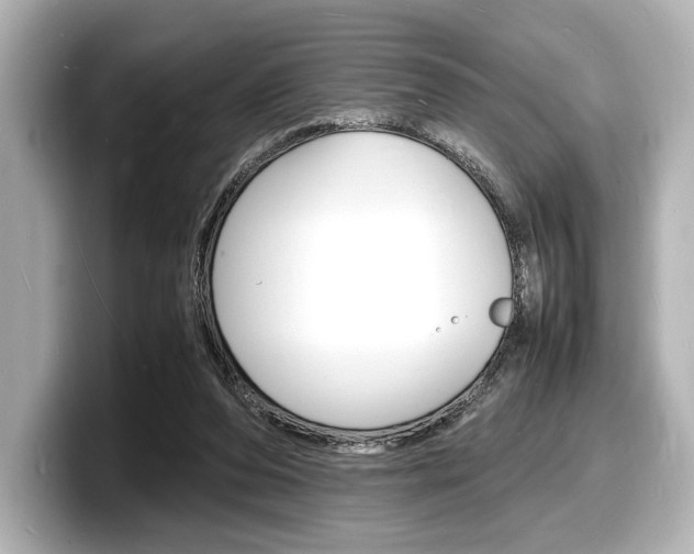 X0000098180208200804241037