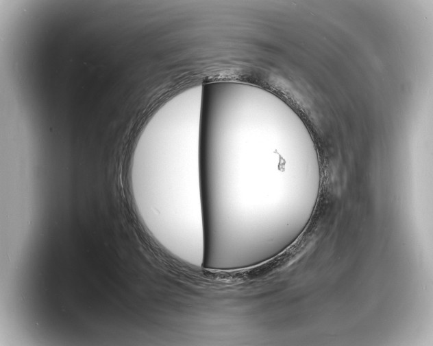 X0000098180209200804241037