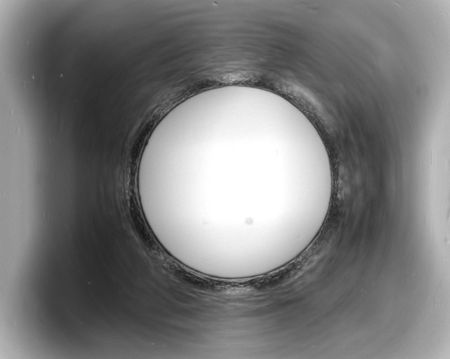 X0000098180210200804241037