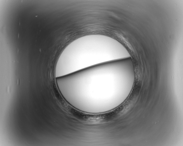 X0000098180213200804241037