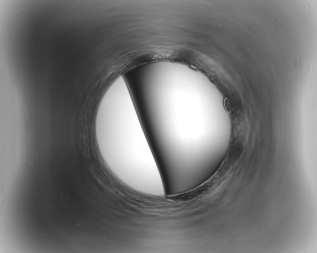 X0000098180215200804241037
