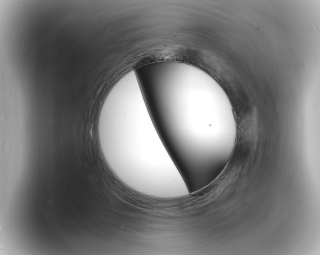 X0000098180217200804241037