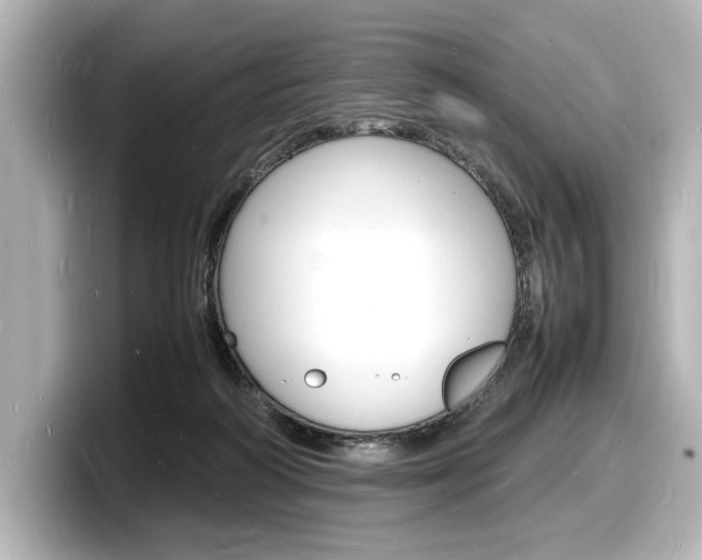 X0000098180218200804241037
