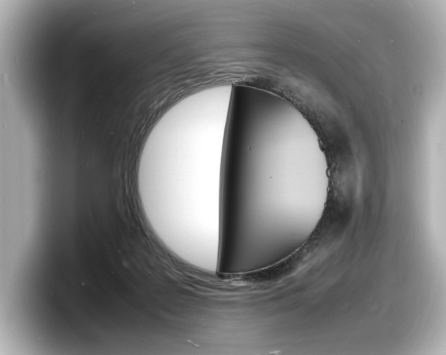 X0000098180219200804241037