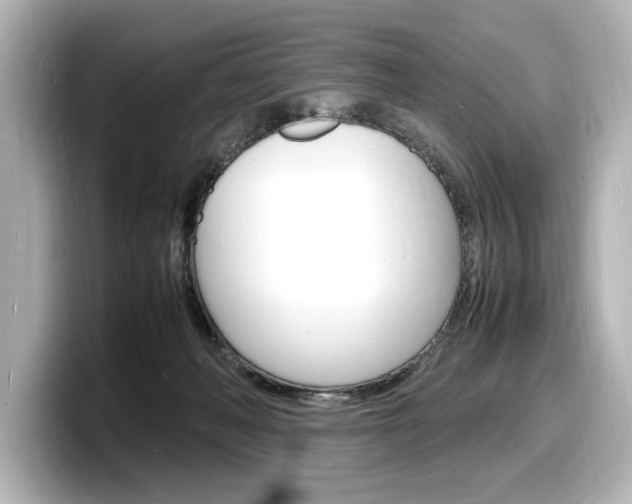 X0000098180222200804241037