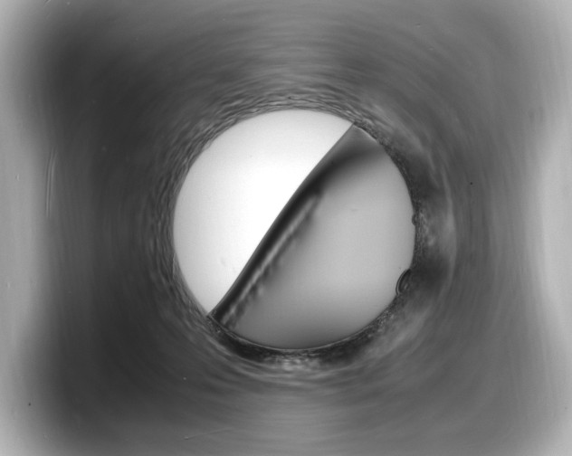X0000098180223200804241037