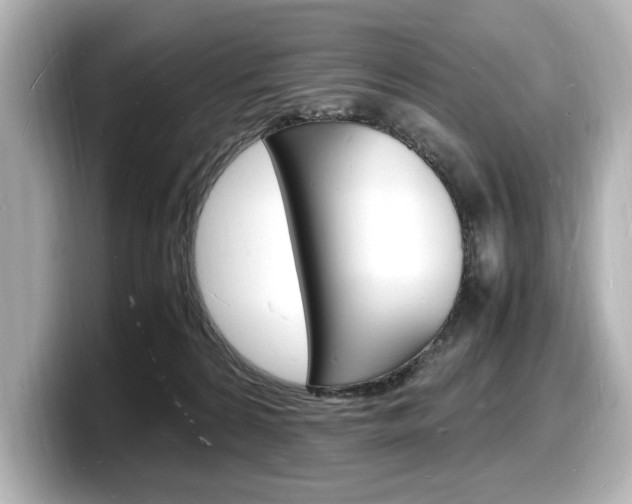 X0000098180224200804241037