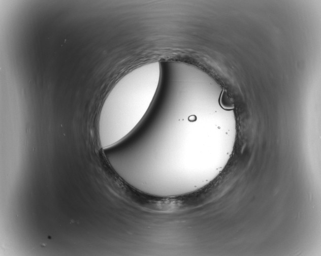 X0000098180225200804241037