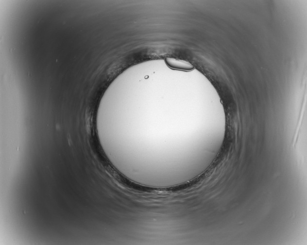 X0000098180227200804241037