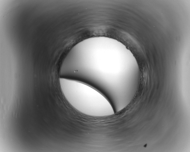 X0000098180228200804241037