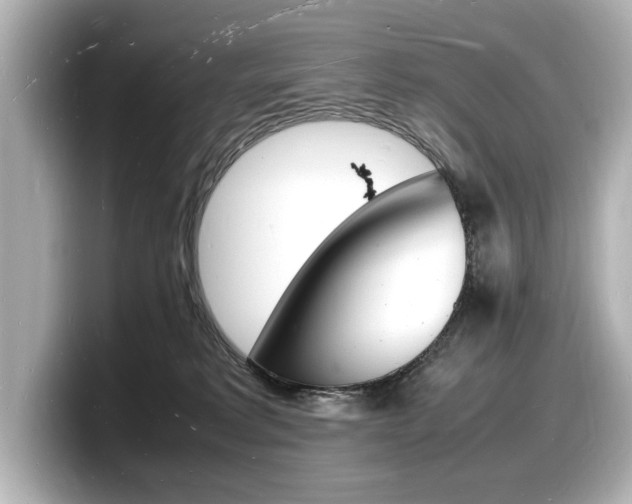 X0000098180229200804241037