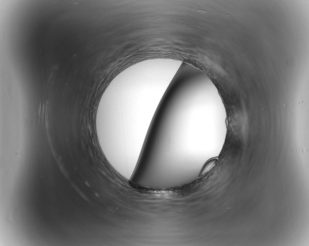 X0000098180233200804241037