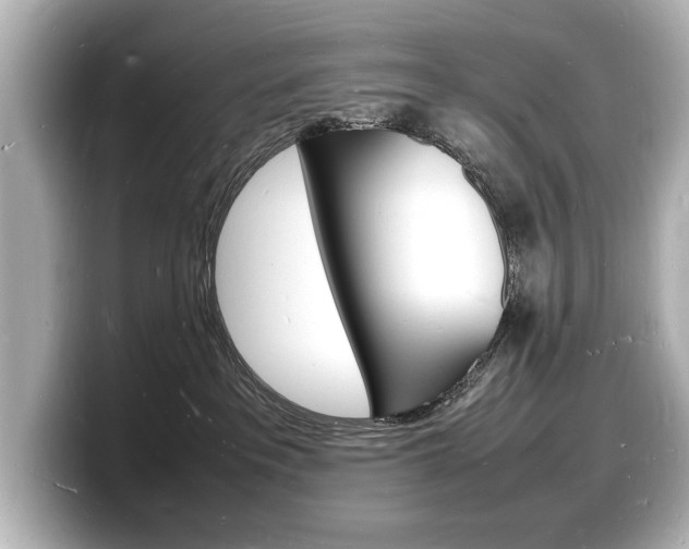 X0000098180237200804241037