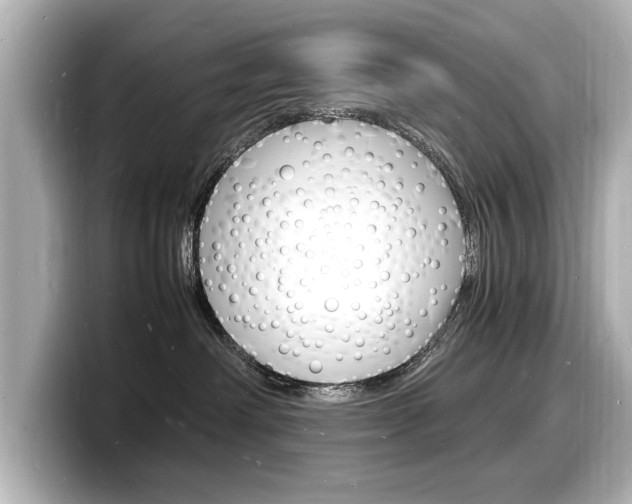 X0000098180238200804241037