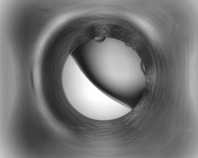 X0000098180239200804241037