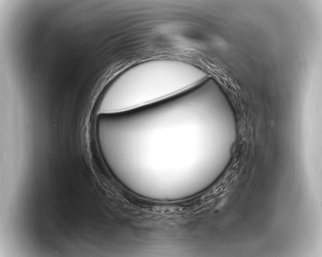 X0000098180242200804241036