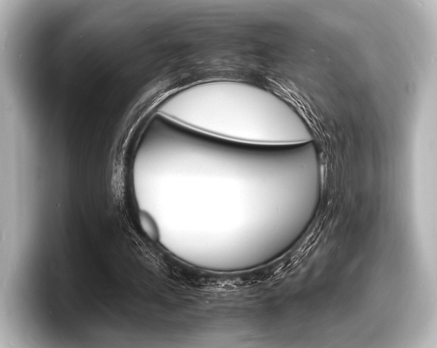 X0000098180243200804241036
