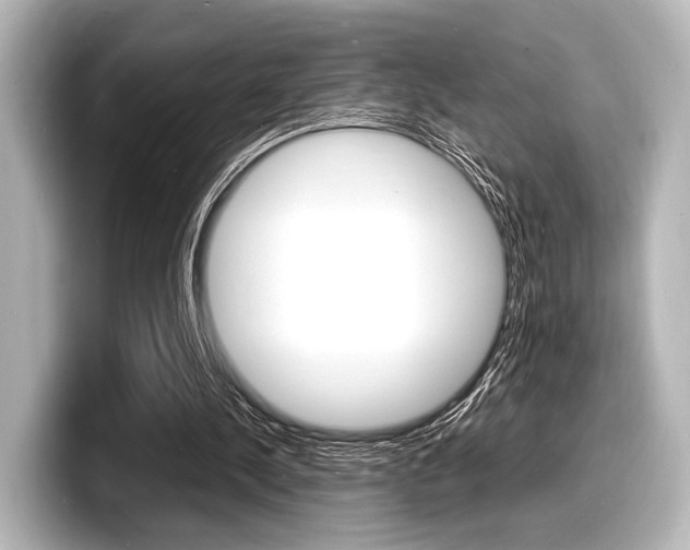 X0000098180244200804241036
