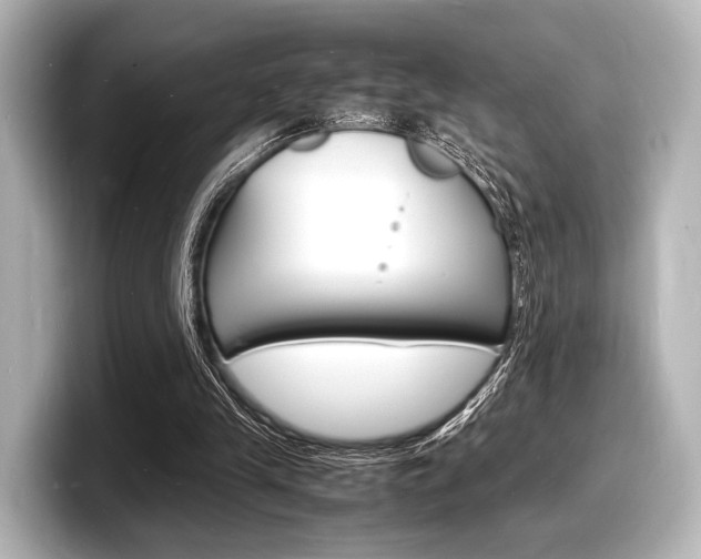 X0000098180245200804241036