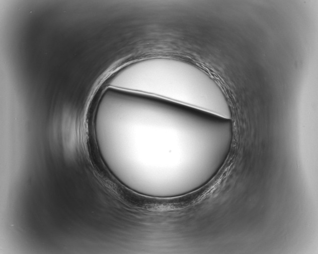 X0000098180246200804241036