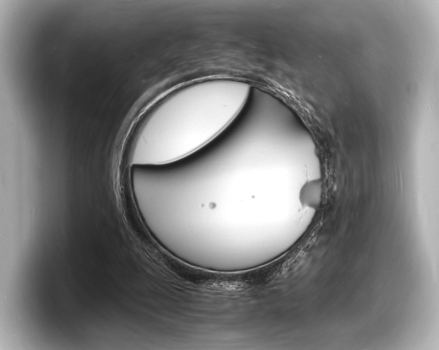 X0000098180247200804241036