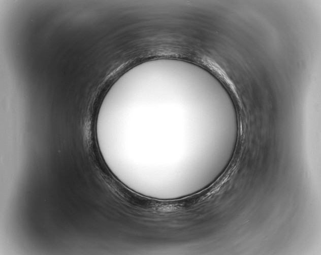 X0000098180249200804241036