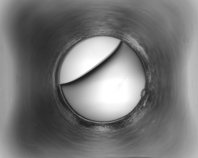 X0000098180250200804241036