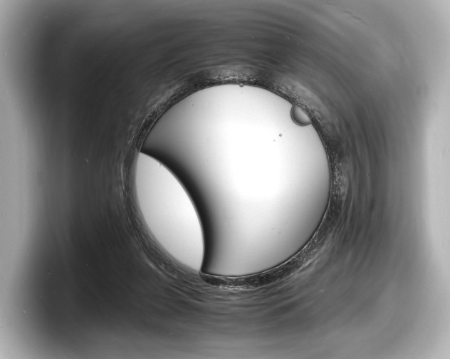 X0000098180255200804241036