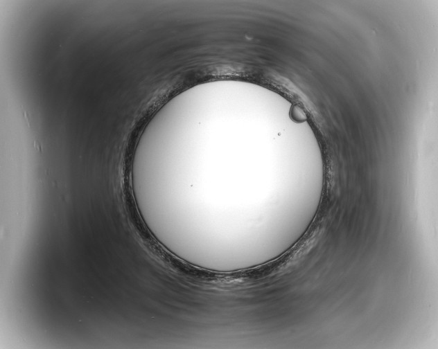 X0000098180257200804241036