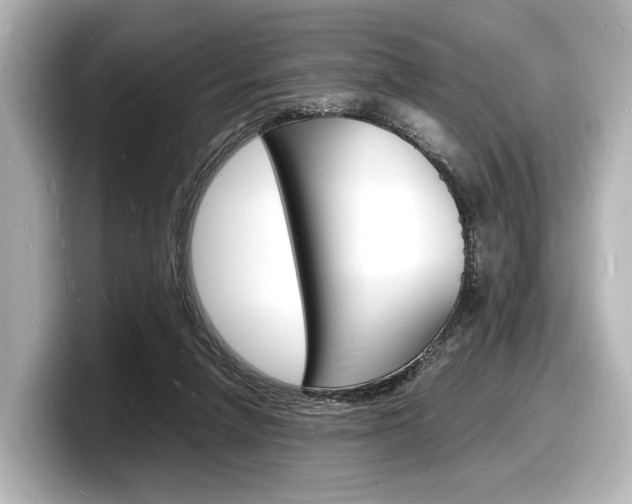 X0000098180258200804241036