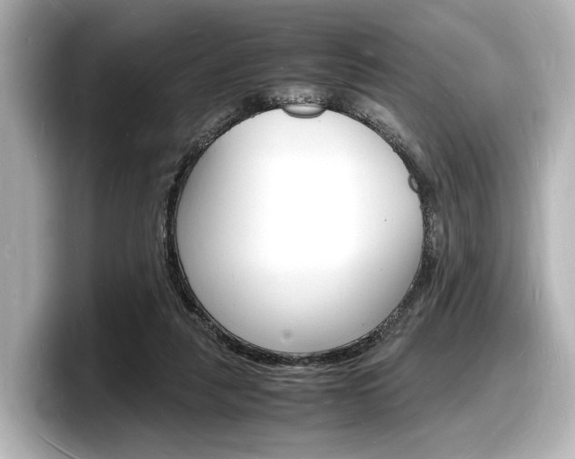 X0000098180259200804241036