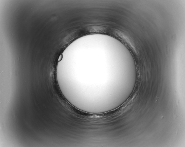 X0000098180265200804241036