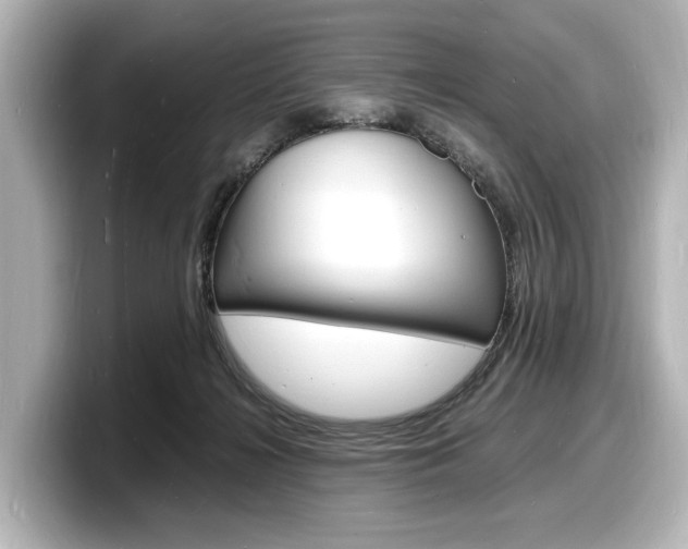 X0000098180268200804241036