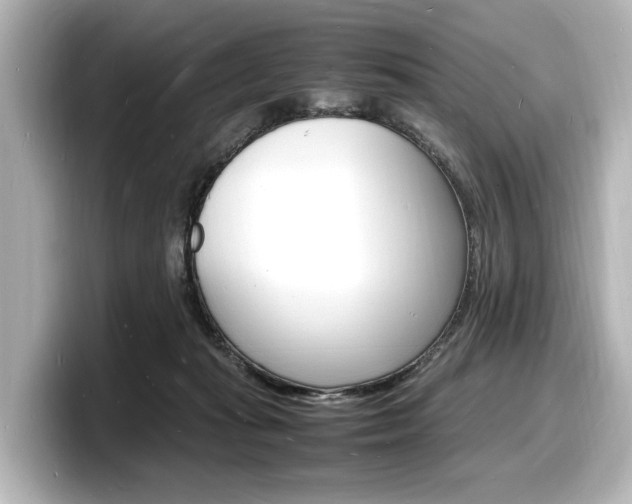 X0000098180269200804241036