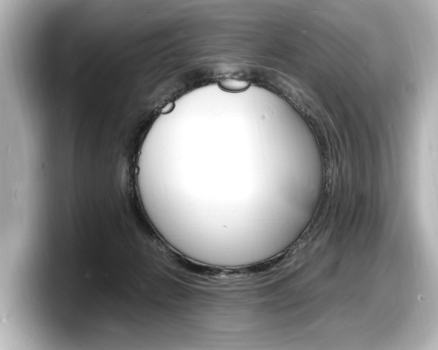 X0000098180270200804241036