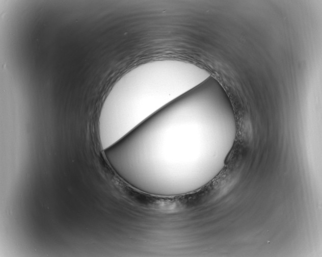 X0000098180272200804241036